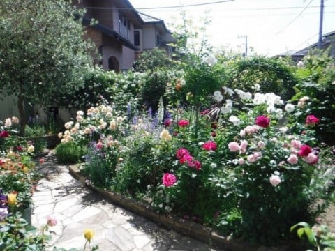 5月の庭園風景