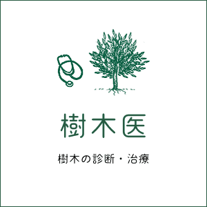 樹木医